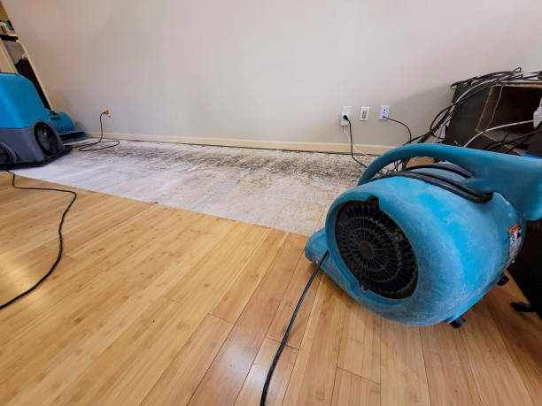 Professional Water Removal technician working in Williamsburg, FL